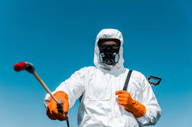 Best Termite Inspection and Treatment  in Al Creek, CO